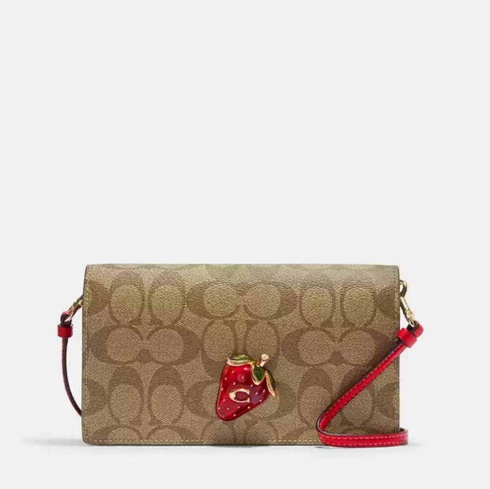 NWT cross body strawberry 🍓